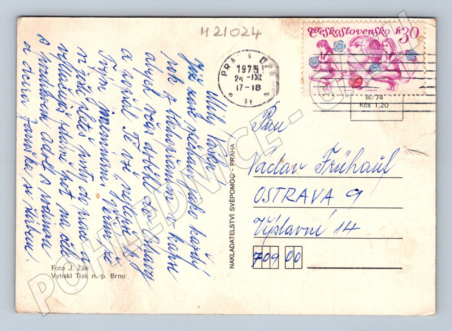 Pohlednice květiny ve váze 1975 (M21024)