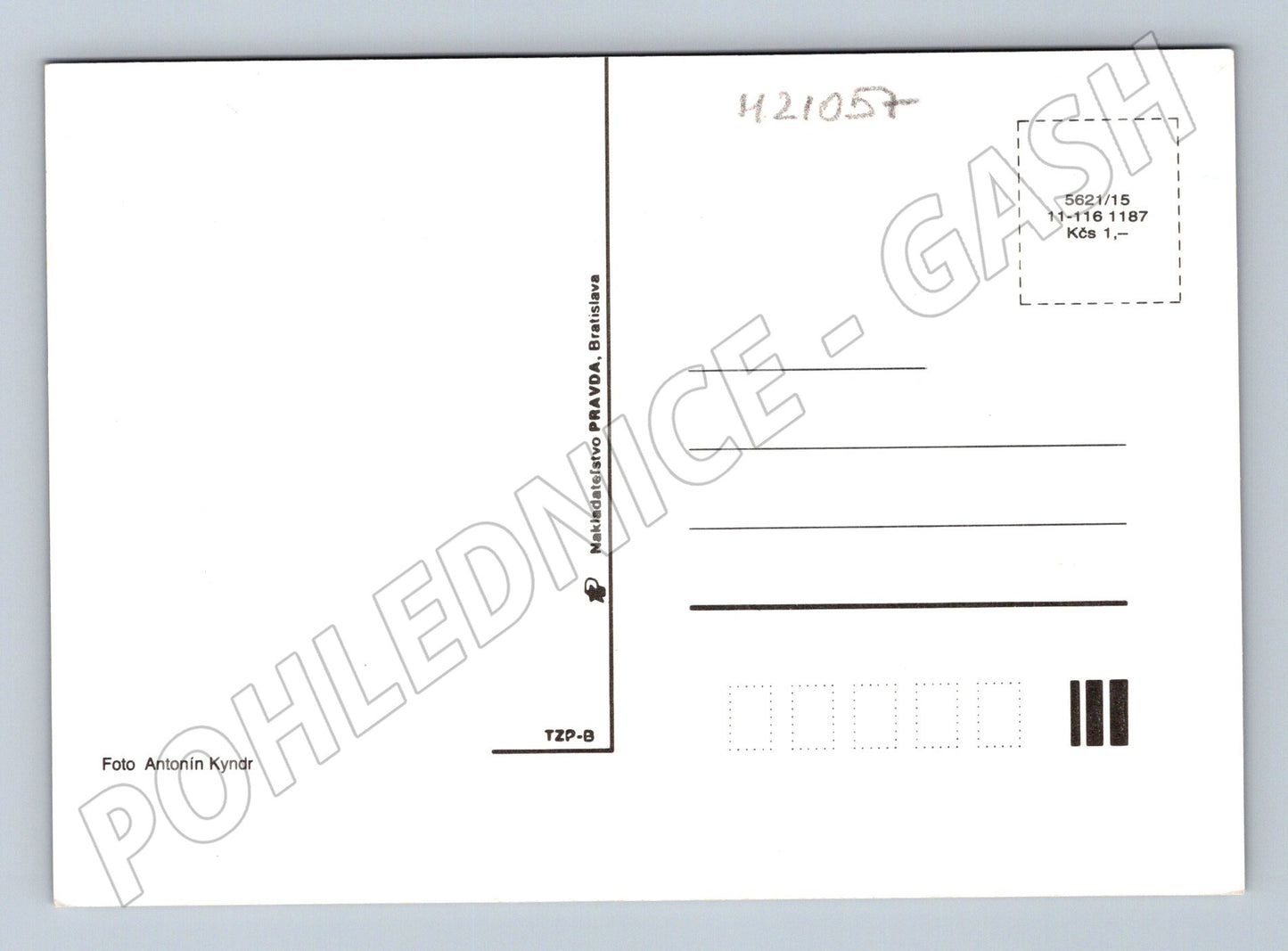 Pohlednice květiny Antonín Kyndr (M21057)
