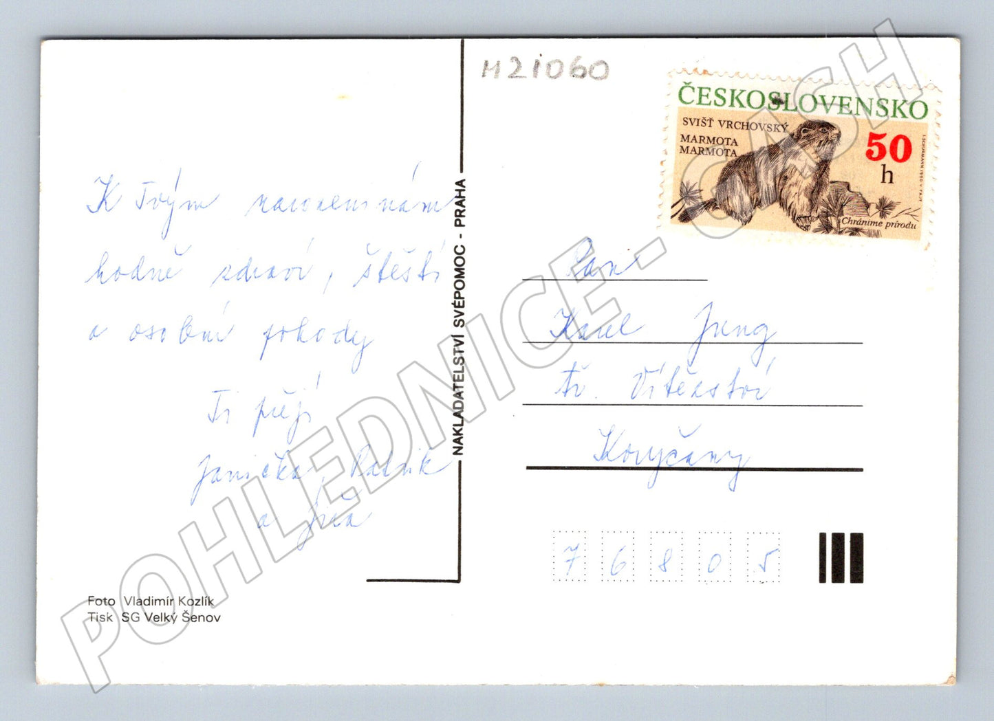 Pohlednice květiny ve váze (M21060)