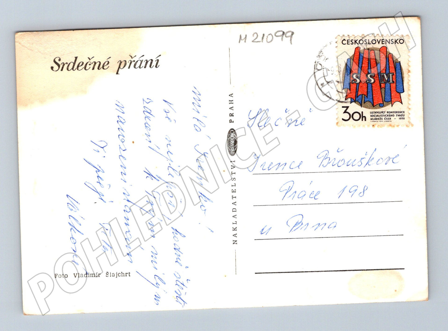 Pohlednice květina černobílá 1970 (M21099)