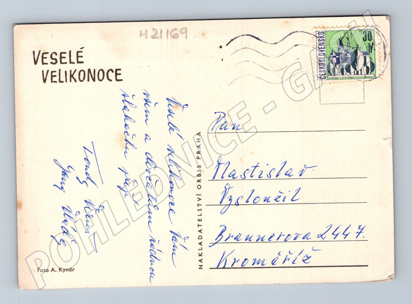 Pohlednice velikonoční plyšový zajíček (M21169)