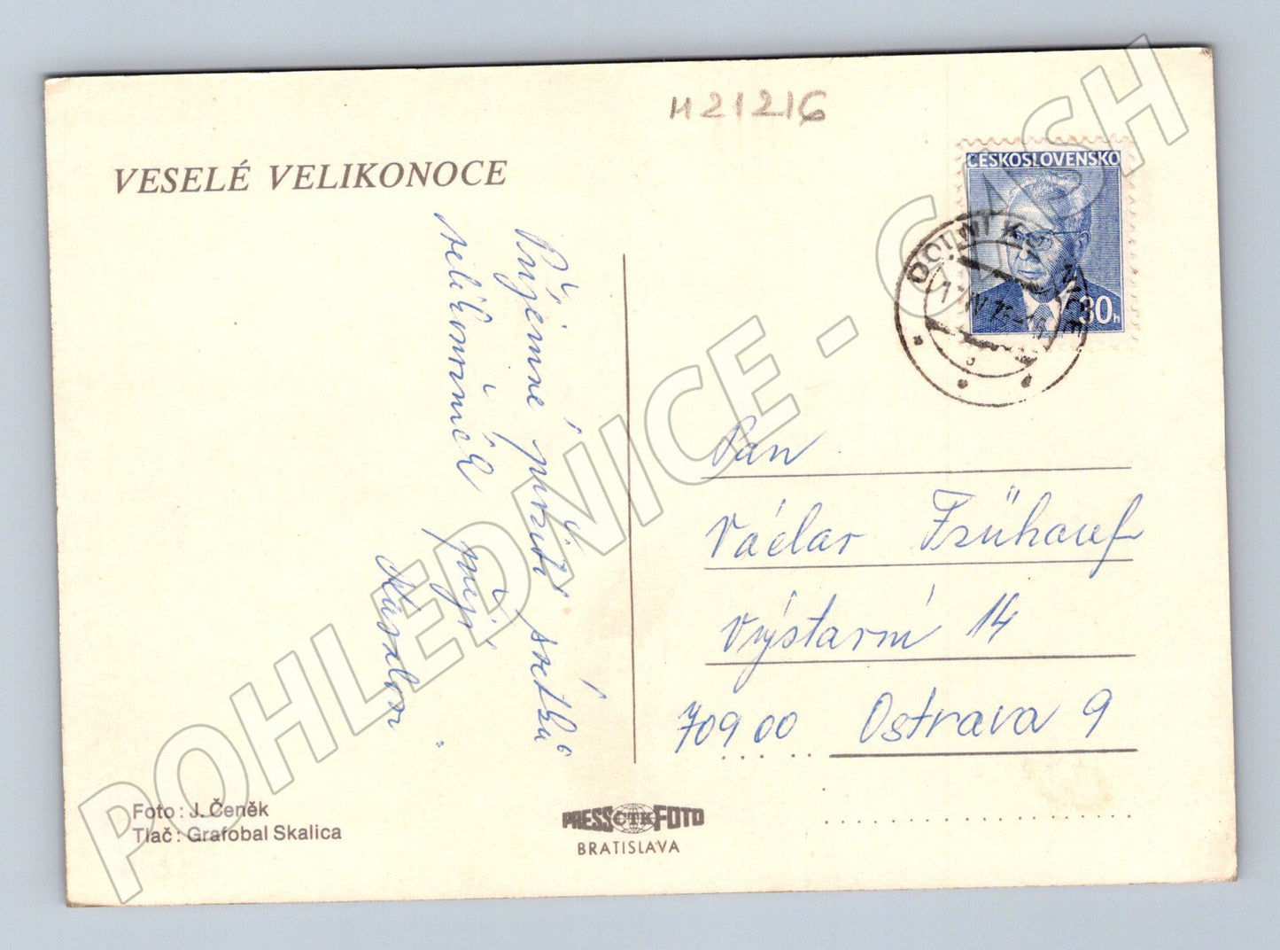 Pohlednice velikonoční slunečnice kraslice (M21216)