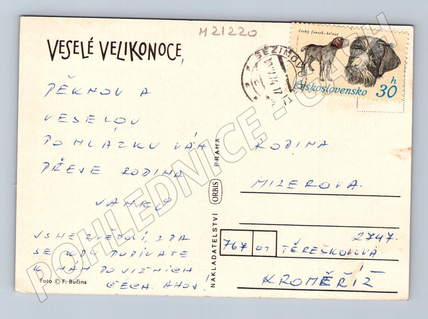 Pohlednice velikonoční kočičky pomlázka (M21220)