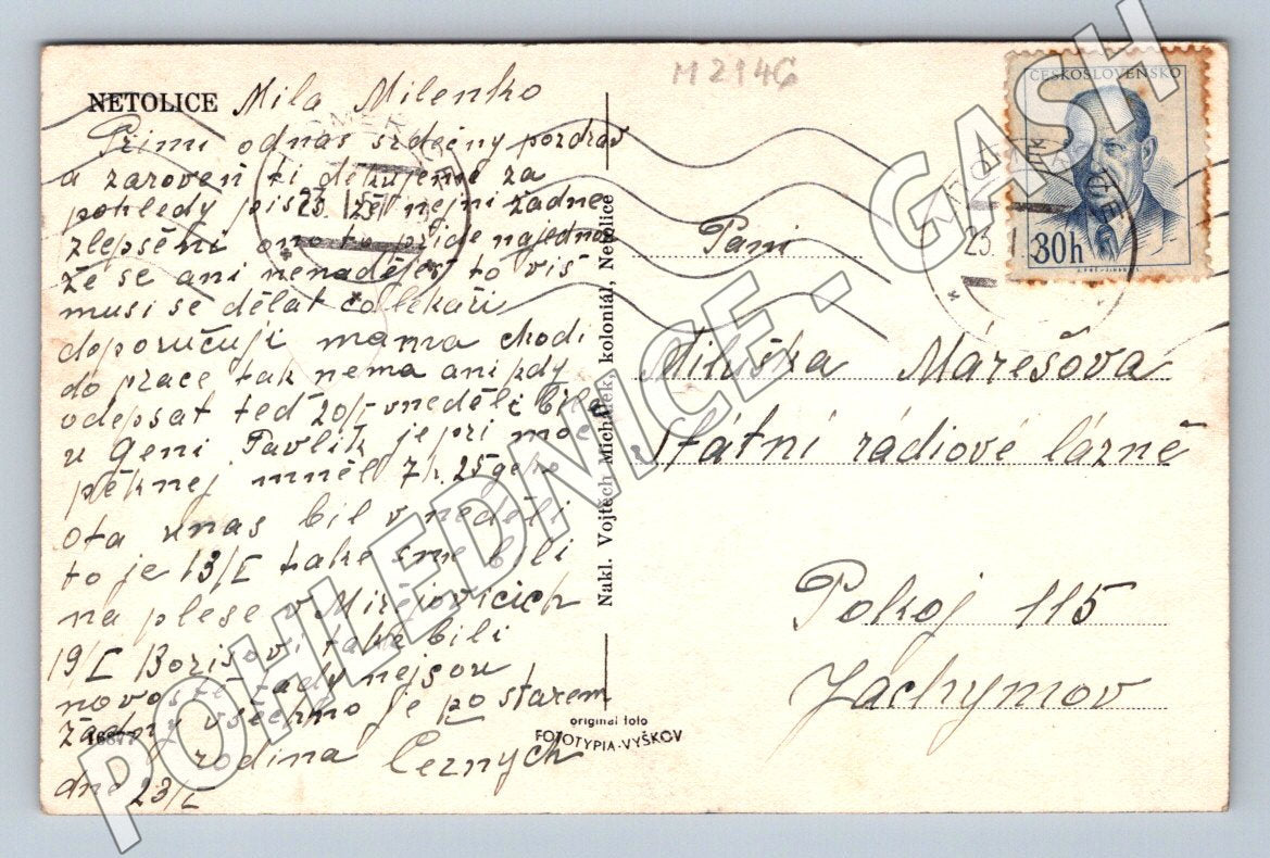 Pohlednice Netolice PP (M2146)