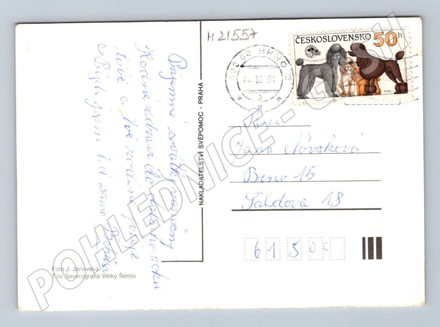 Pohlednice Radostné Vánoce použitá 1981 (M21557)