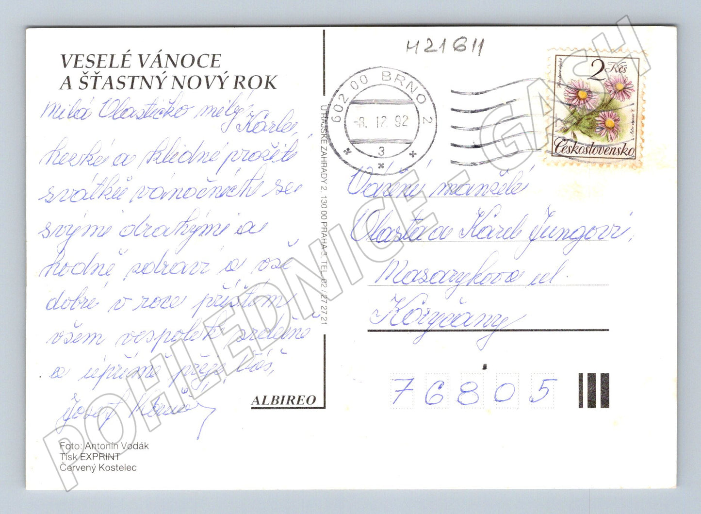 Pohlednice vánoční děti u brány psi (M21611)