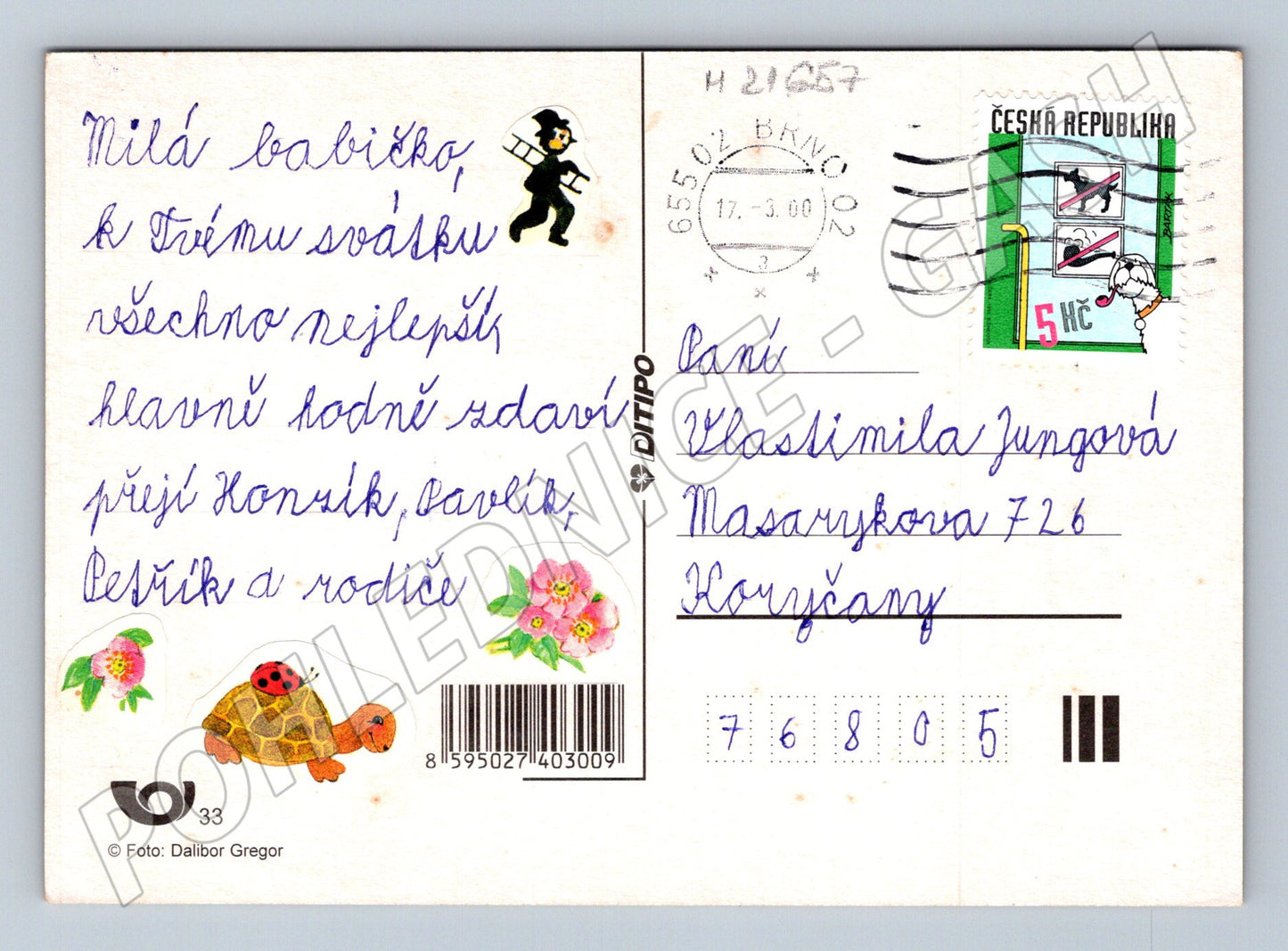 Pohlednice pudlové veselý motiv 2000 (M21657)