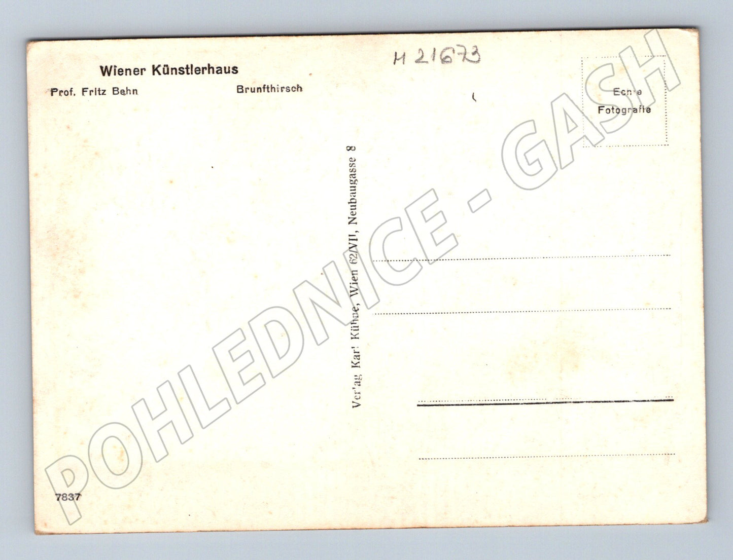 Pohlednice Wiener Künstlerhaus jelen (M21673)