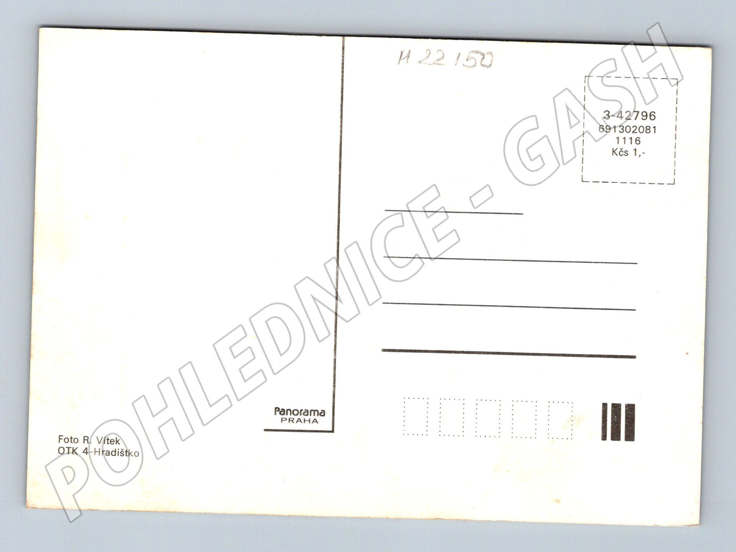 Pohlednice houby v lese (M22150)