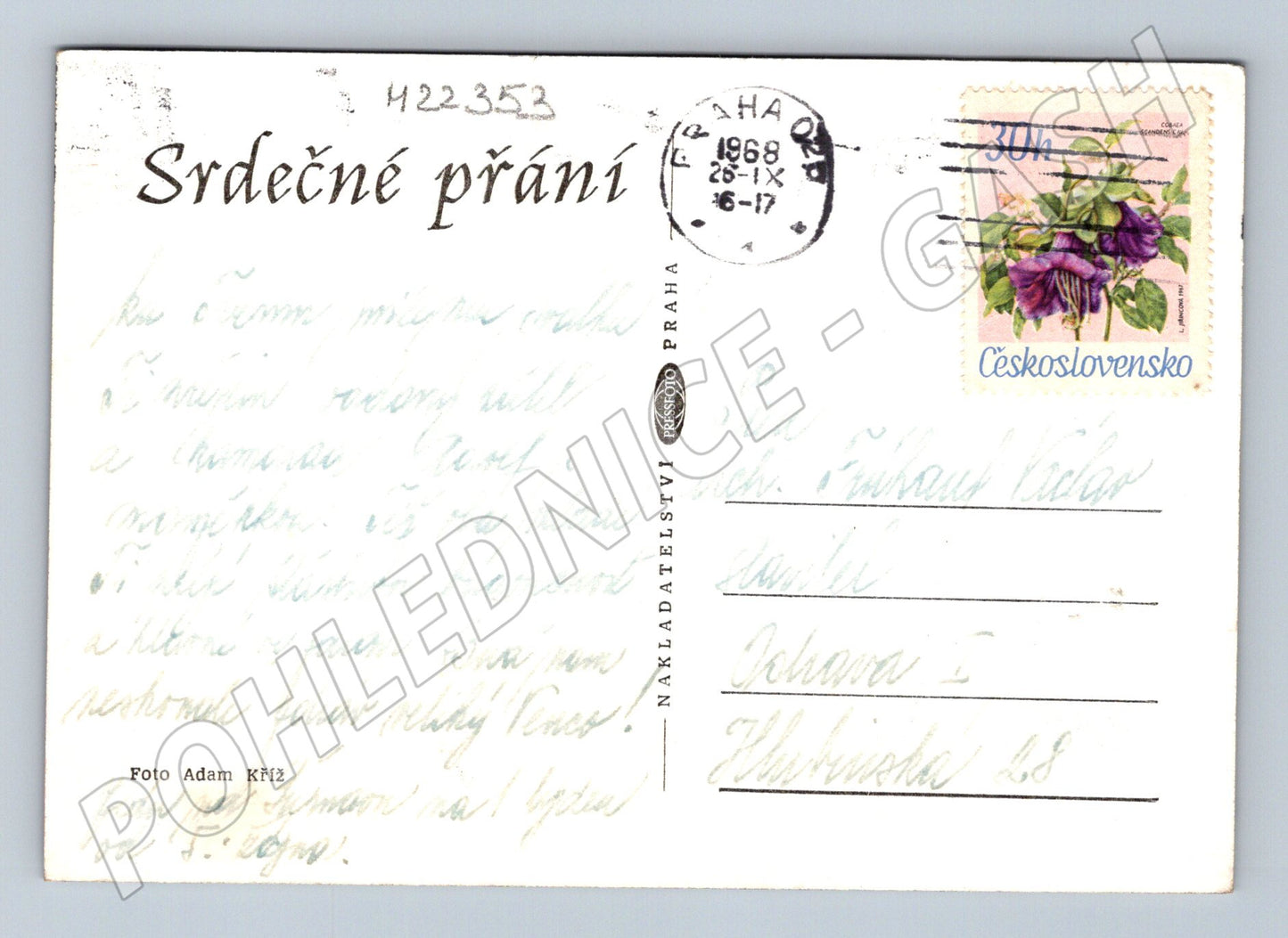 Pohlednice Československo Gladioly ve váze 1968 (M22353)