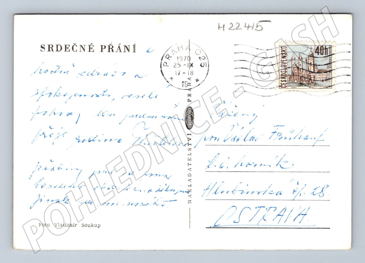 Pohlednice still life růže 1970 (M22415)