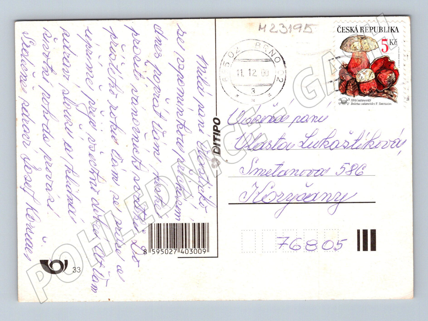 Pohlednice Vánoční novoroční zimní krajina 2000 (M23195)