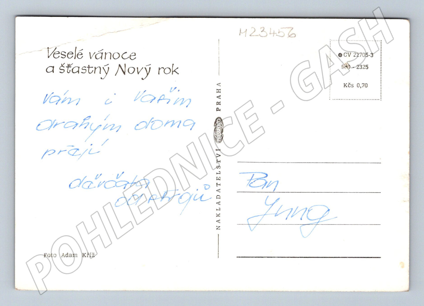 Pohlednice vánoční motiv svíčky jablka (M23456)