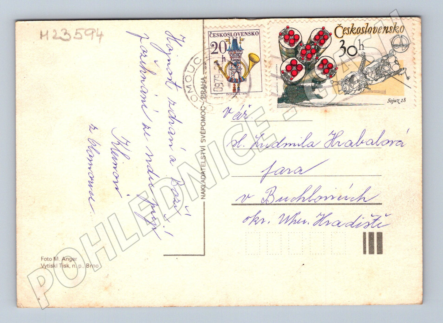 Pohlednice růžová jiřina květina 1974 (M23594)