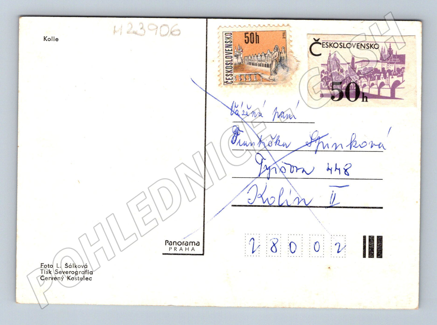 Pohlednice Kolie se štěňaty (M23906)