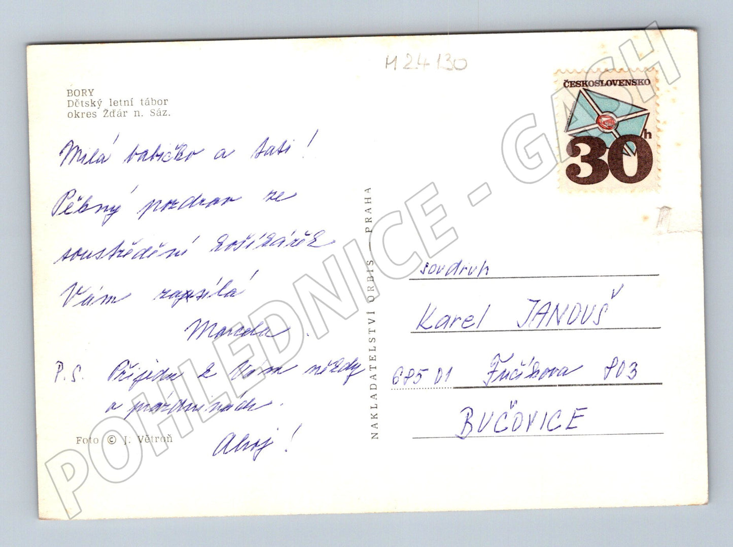 Pohlednice Bory Žďár n. Sáz. dětský letní tábor (M24130)