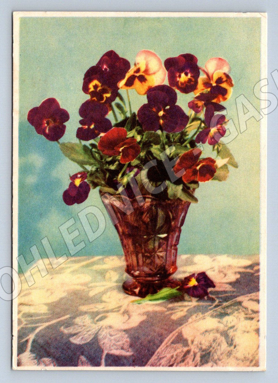 Starý sovětský pohled květiny ručně psané 1958 (M2418)