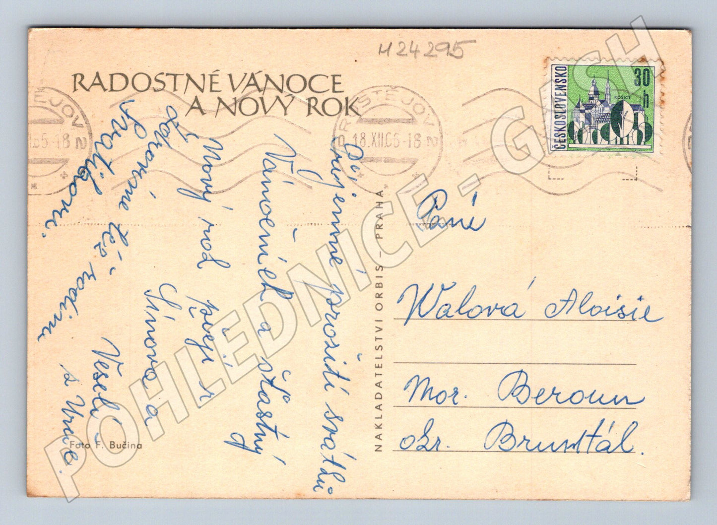 Pohlednice vánoční/novoroční chlapec a psi, měsíc 1965 (M24295)