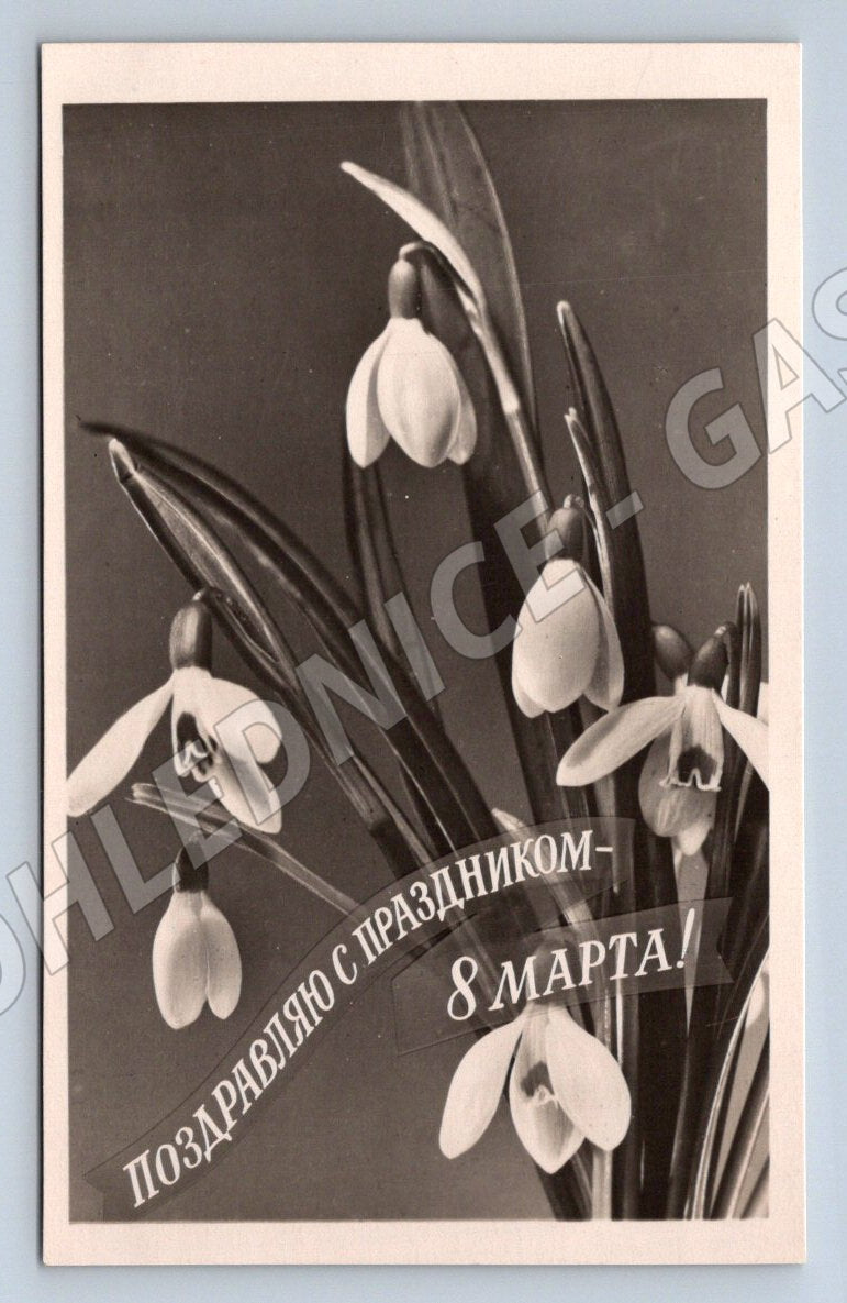 SSSR 1960 MDŽ květiny (M2434)