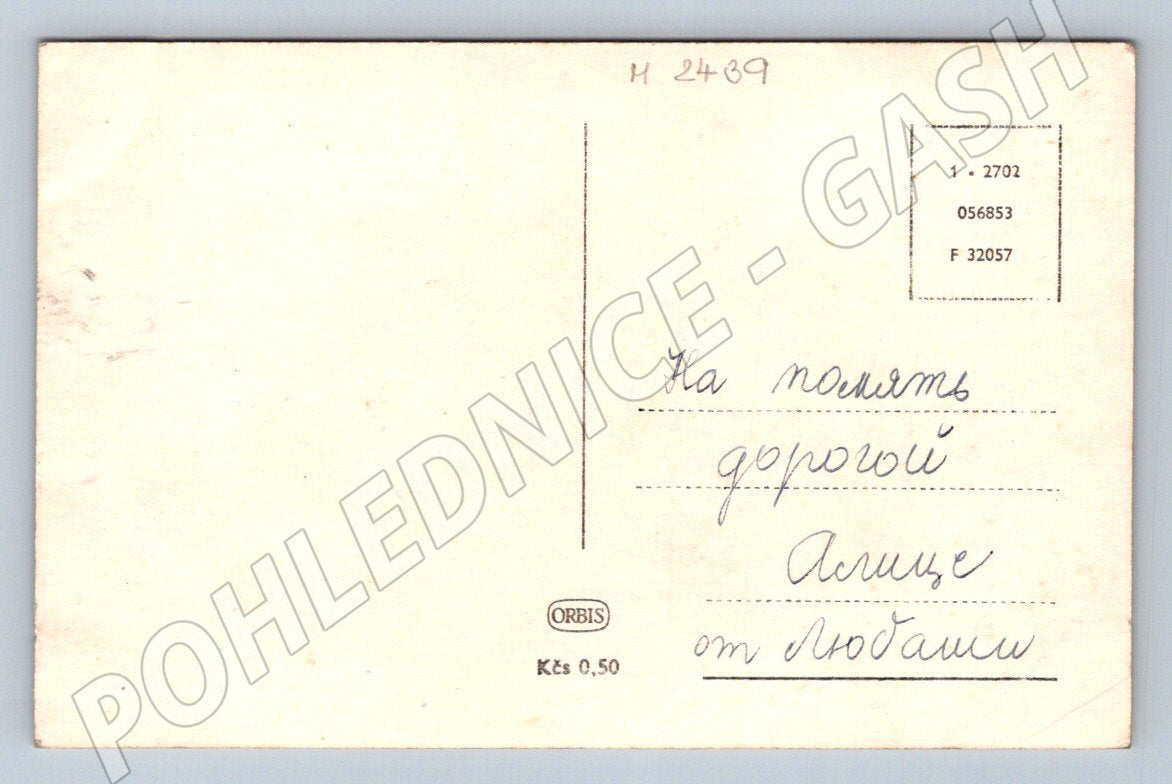 ČB květy ruční ruský text (M2439)