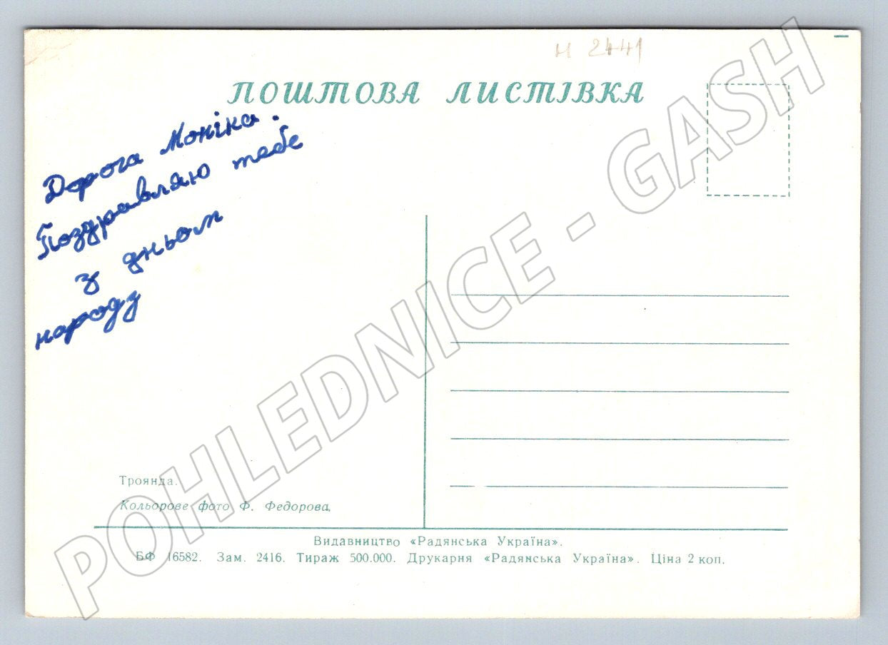 Ukrajina SSSR červená růže vintage (M2441)