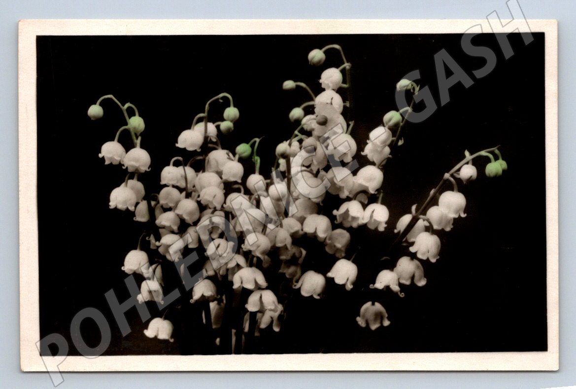 Sněženky Rusko 1957 etnografie (M2444)