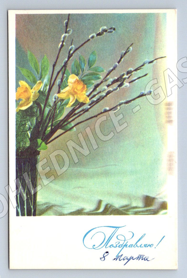 Kočičky a jarní květy etnografie (M2445)