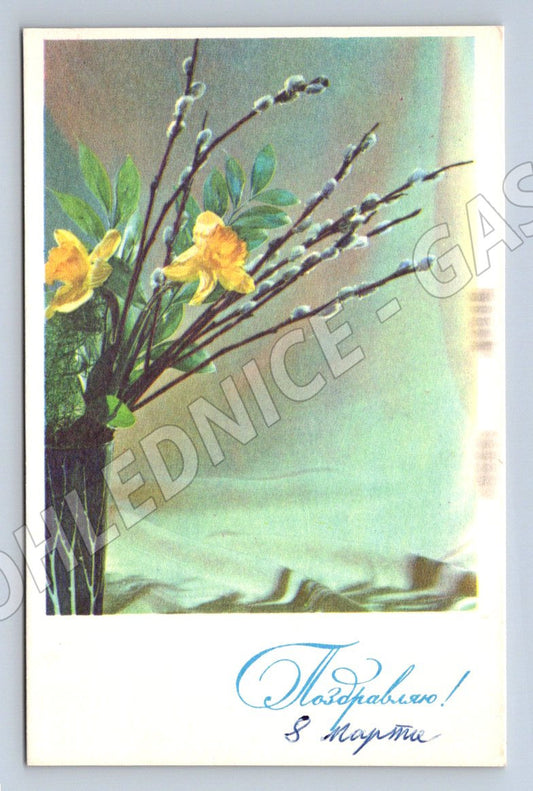 Kočičky a jarní květy etnografie (M2445)