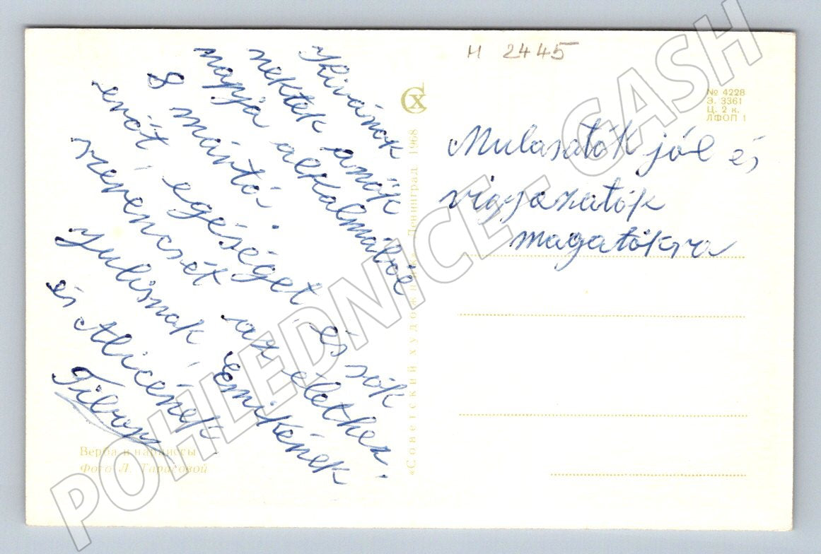 Kočičky a jarní květy etnografie (M2445)