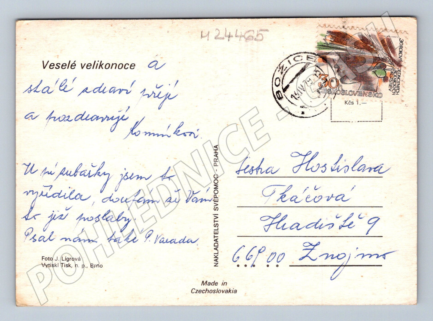 Pohlednice Velikonoční vajíčka kočičky 1974 (M24465)