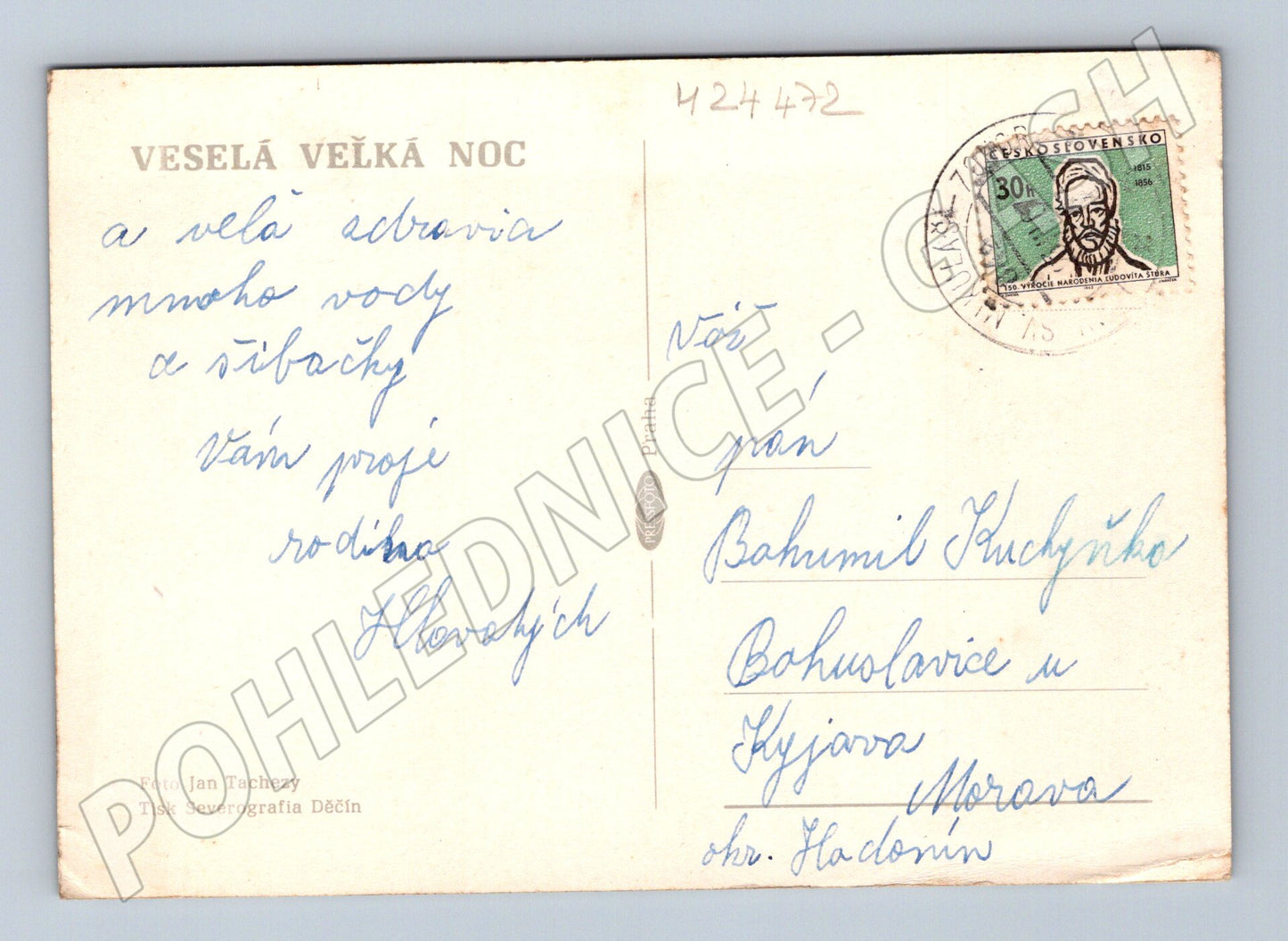 Pohlednice k Velikonocům káčátko sněženky (M24472)