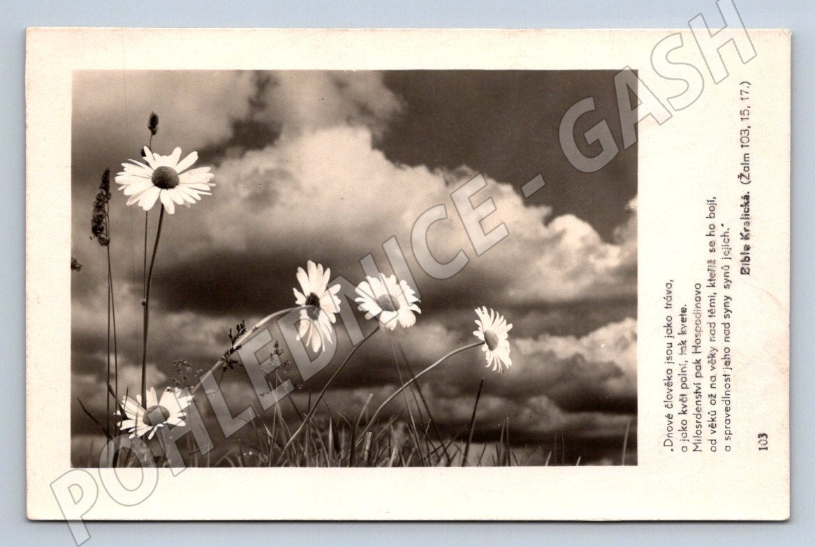 Květiny a biblický citát 1945 (M2448)