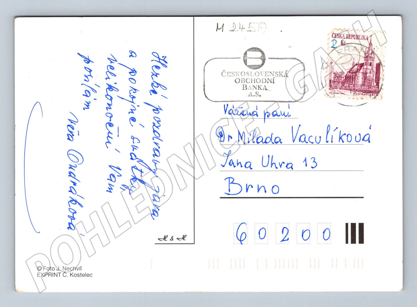 Pohlednice Velikonoční vajíčka květiny (M24517)