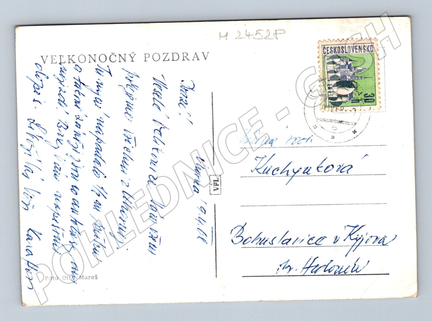 Pohlednice květiny tulipán kočičky 1940 (M24528)