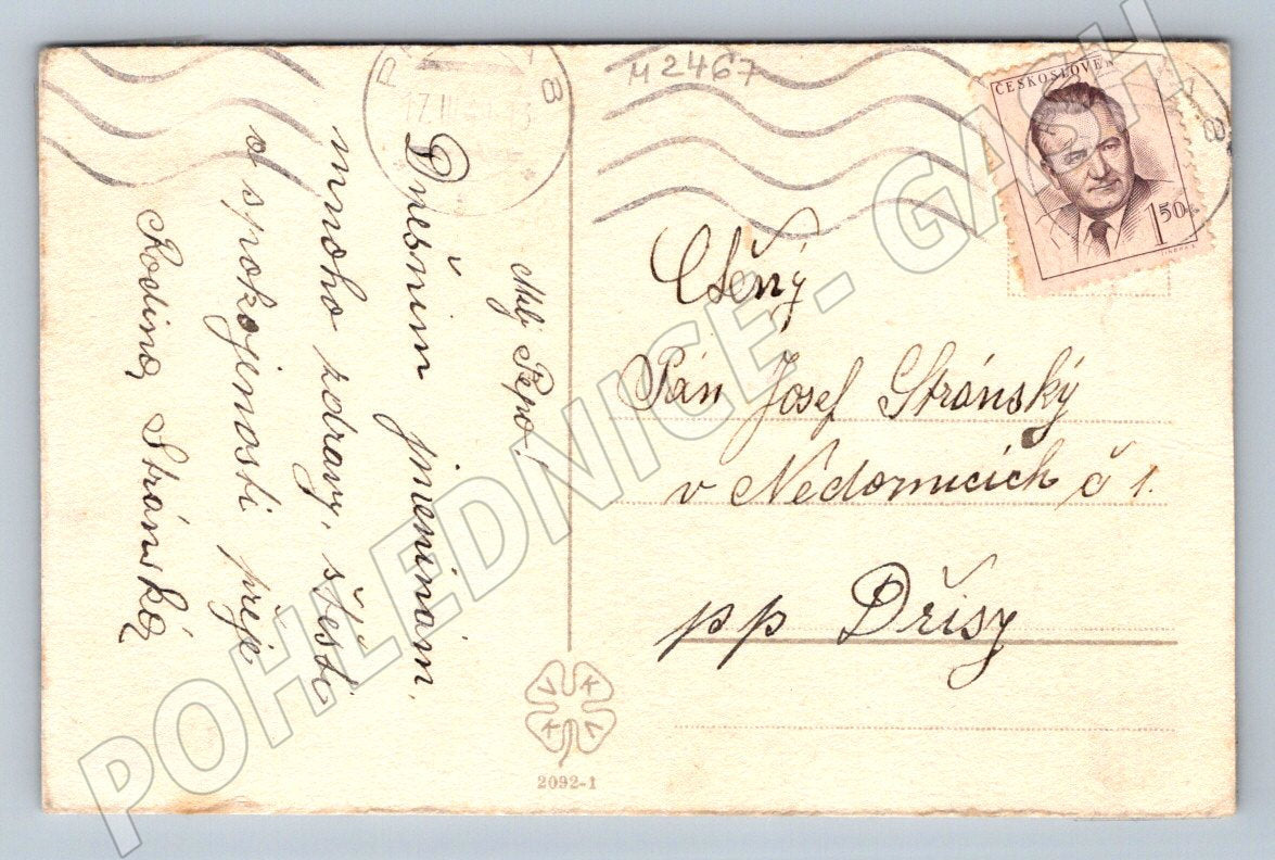 Girl with a basket of fruit ethnography (M2467)