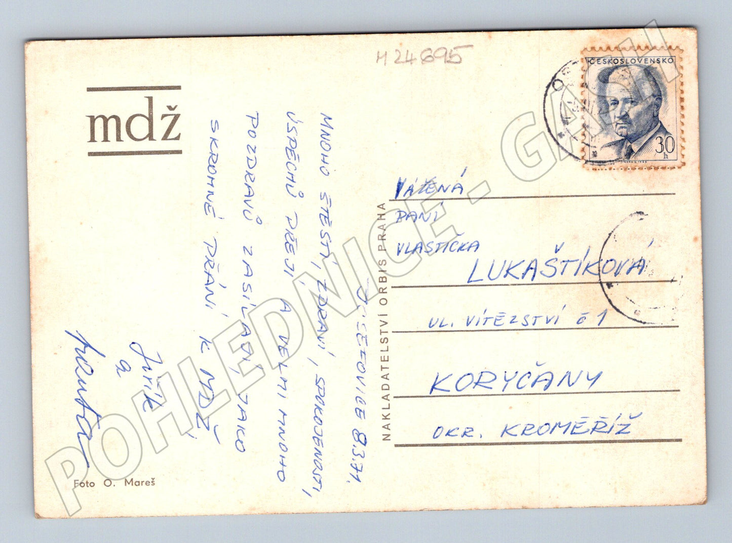 Pohlednice dvě červené růže s kapradím (M24695)