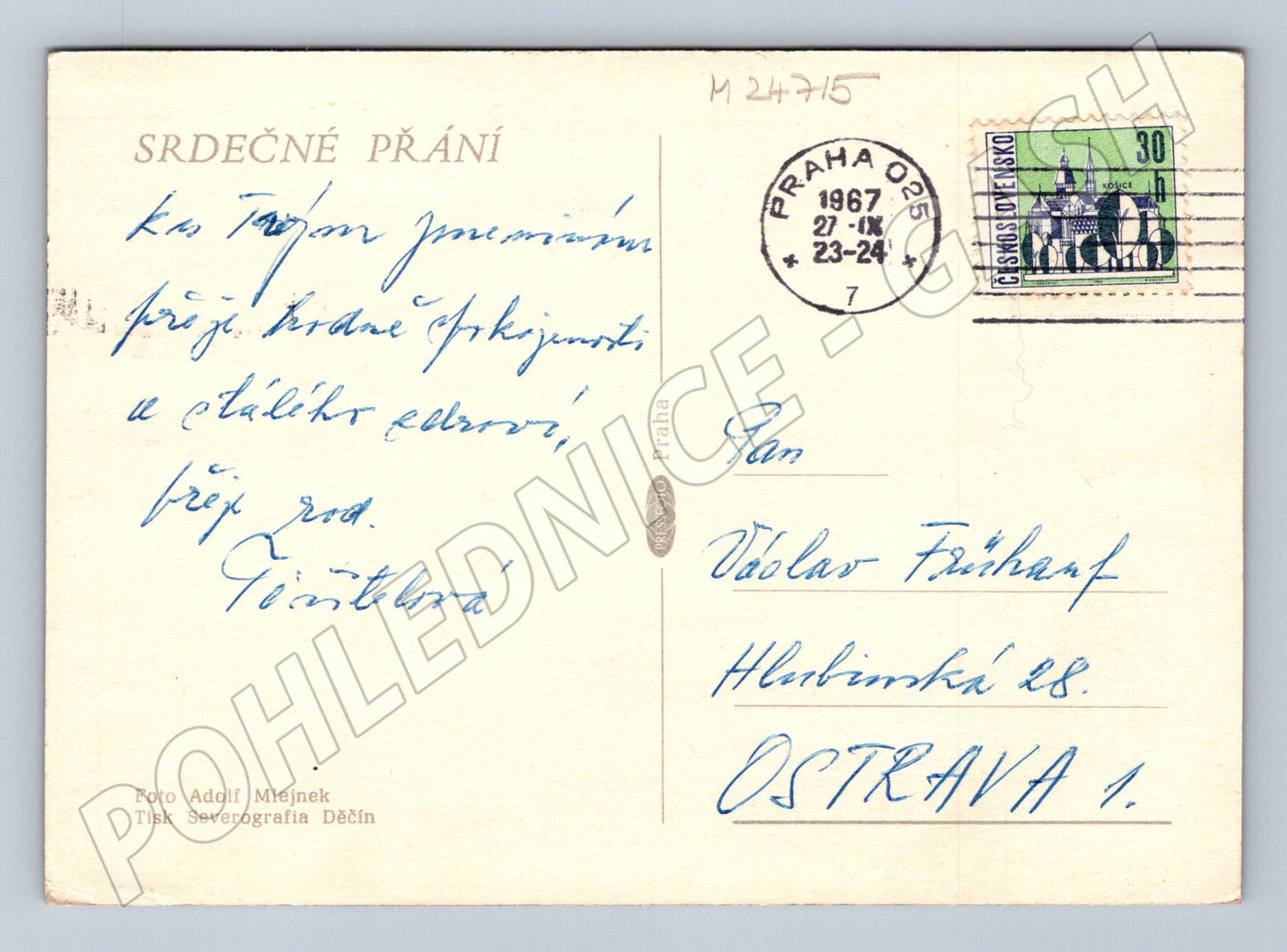 Pohlednice Růže 1967 (M24715)