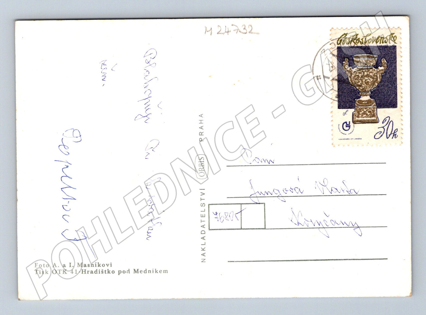 Pohlednice barevné květiny gerbery (M24732)