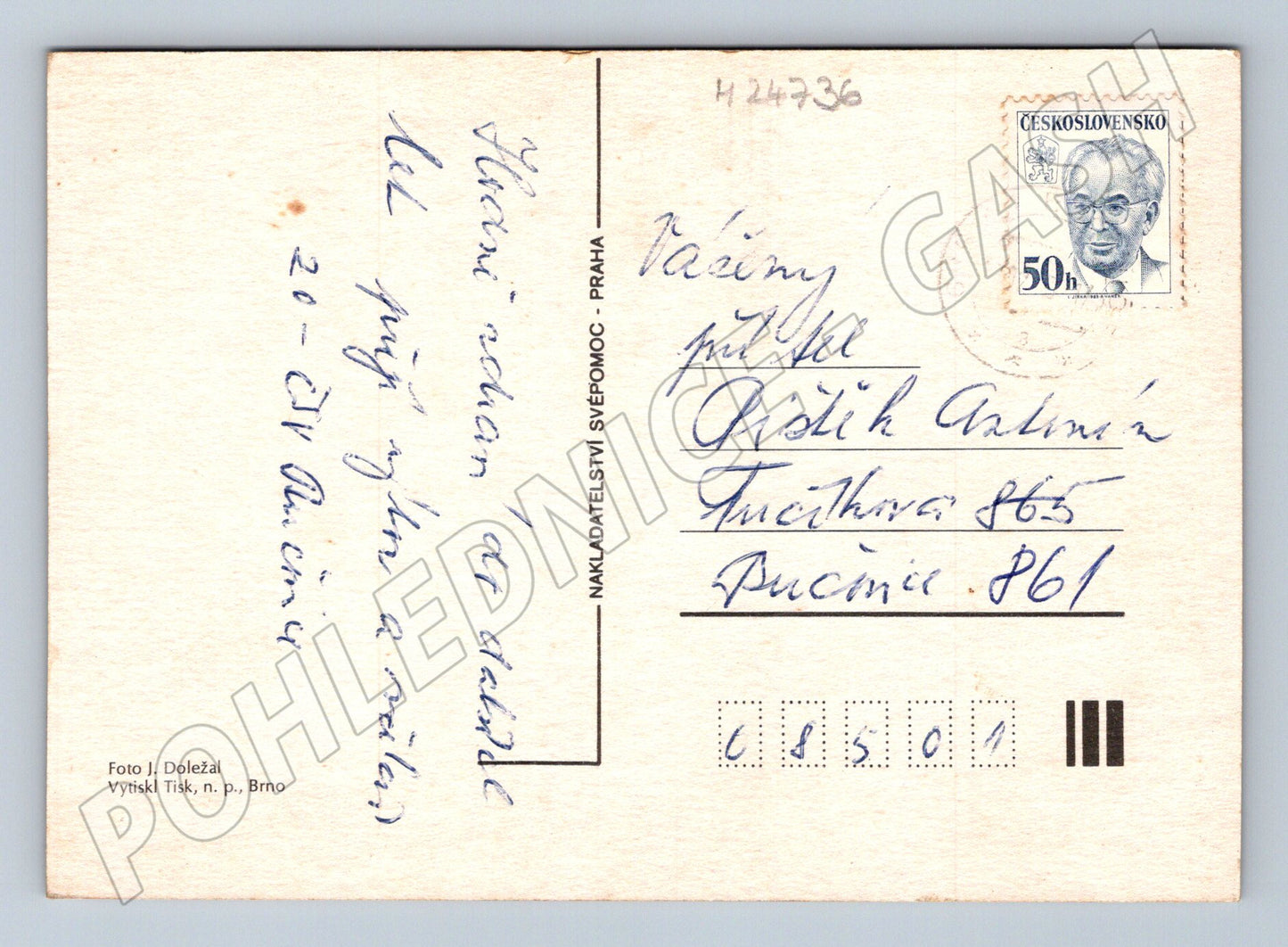 Pohlednice Kytice astry a váza Srdečné přání 1950s (M24736)