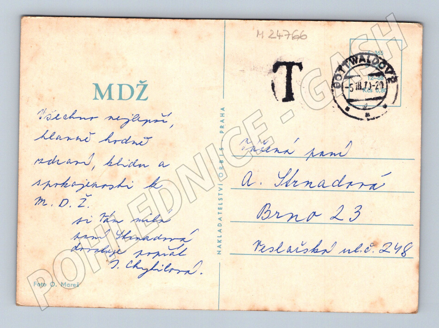 Pohlednice kytice růží Otvice 1973 (M24766)