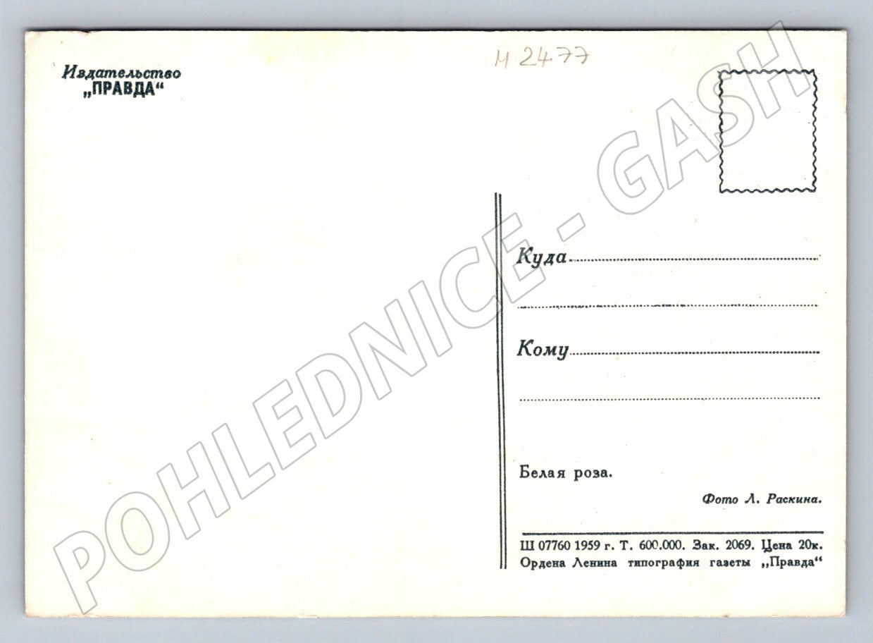 USSR 1959 White Rose Truth (M2477)