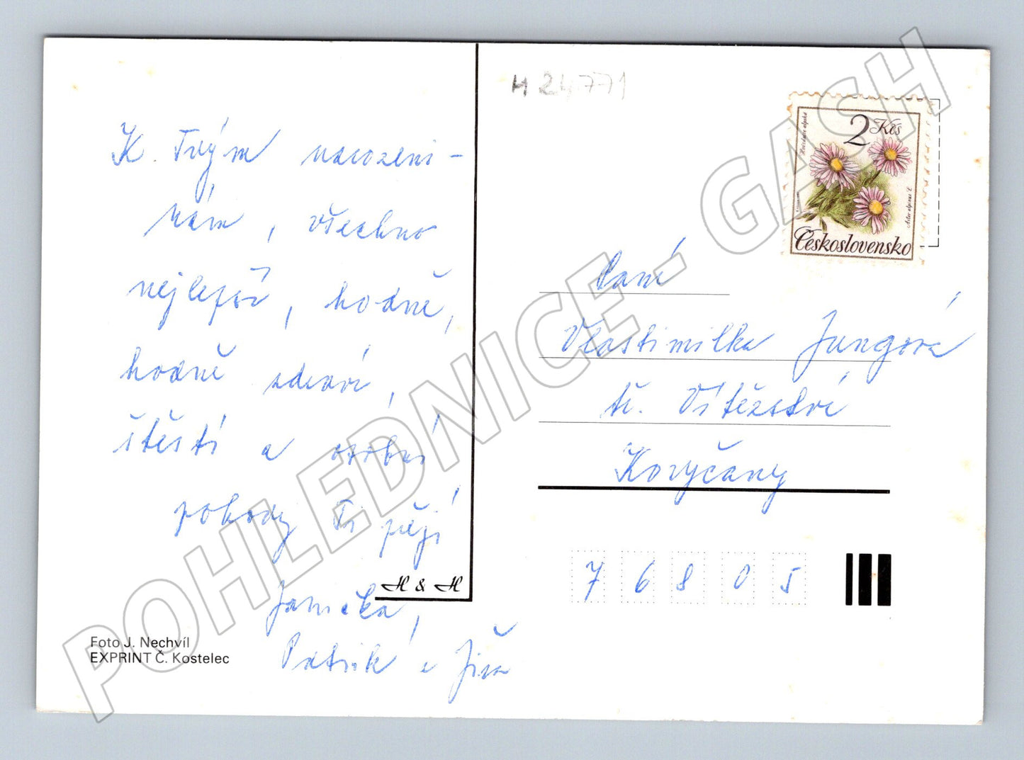 Pohlednice Gerbery květiny 1971 (M24771)