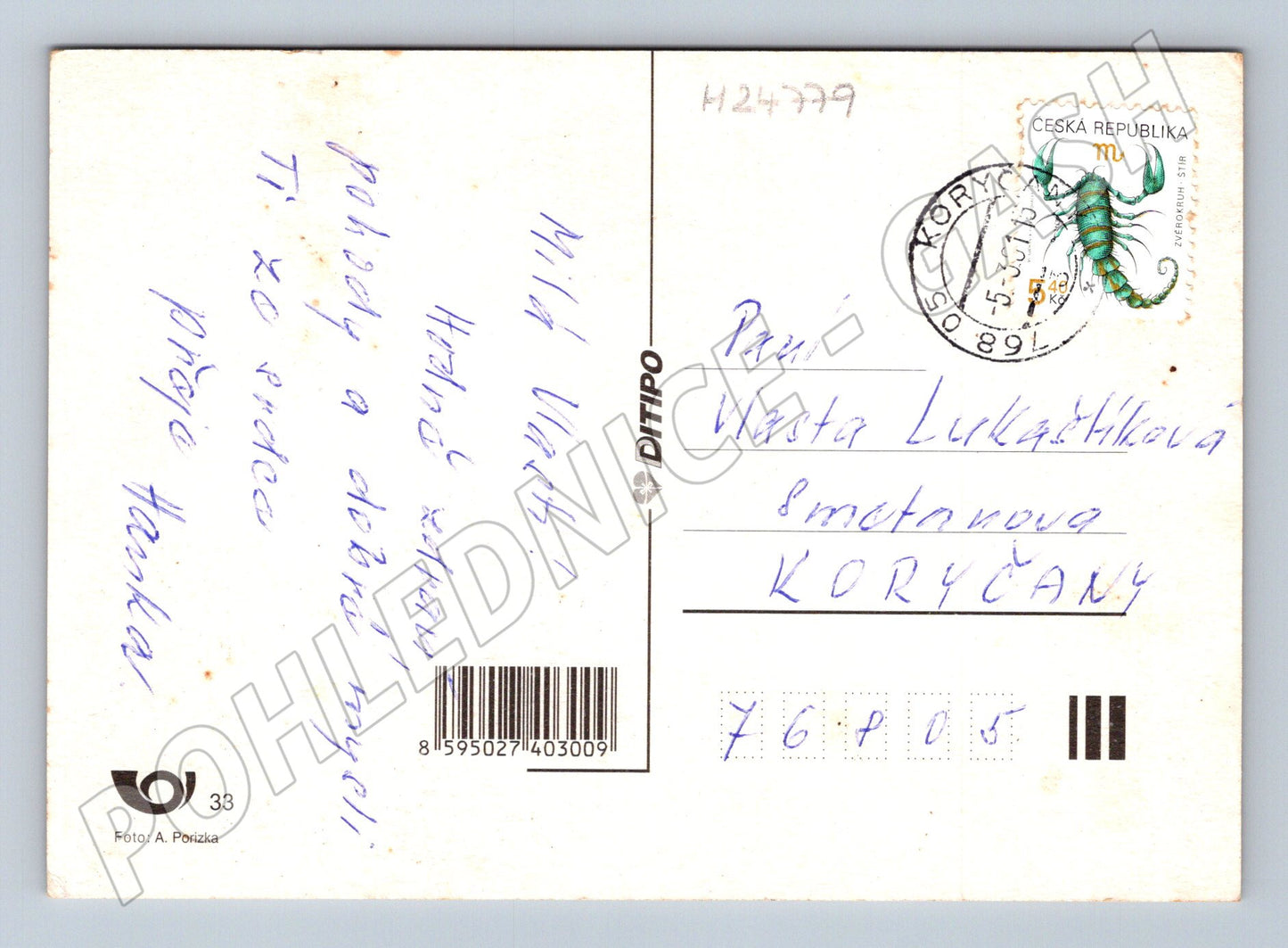 Pohlednice Koryčany zátiší květiny hrozny (M24779)