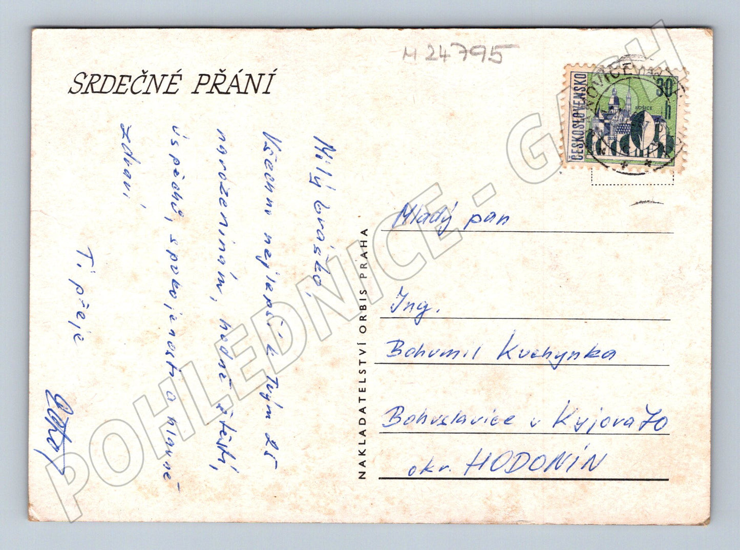 Pohlednice zátiší s květinou a sklenicemi (M24795)