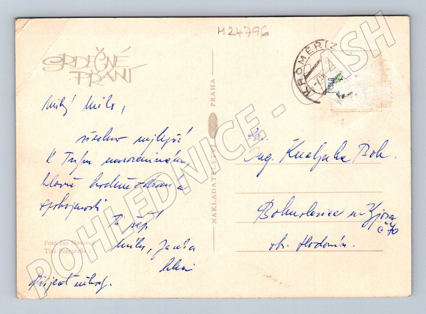 Pohlednice vlčí máky a kopretiny (M24796)