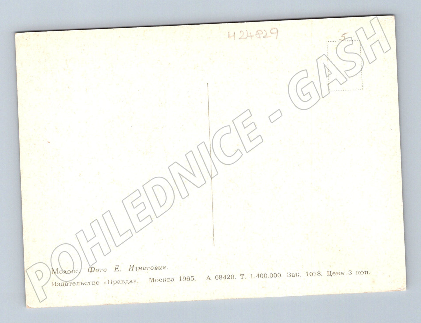 Pohlednice Rusko Květy 1965 (M24829)
