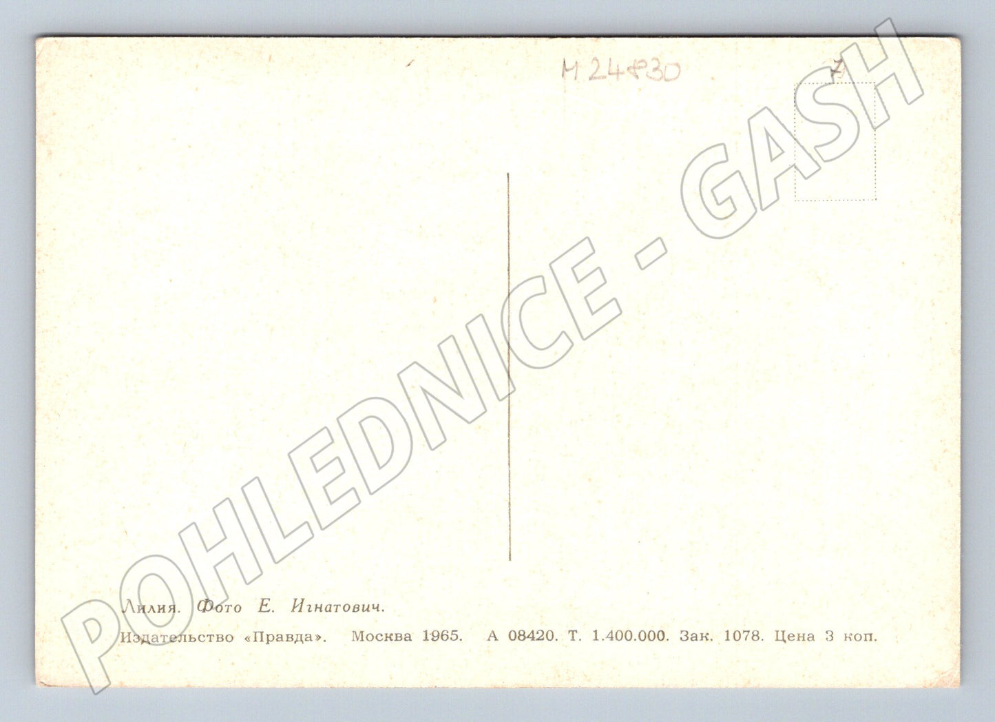 Pohlednice Rusko lilie květiny 1965 (M24830)