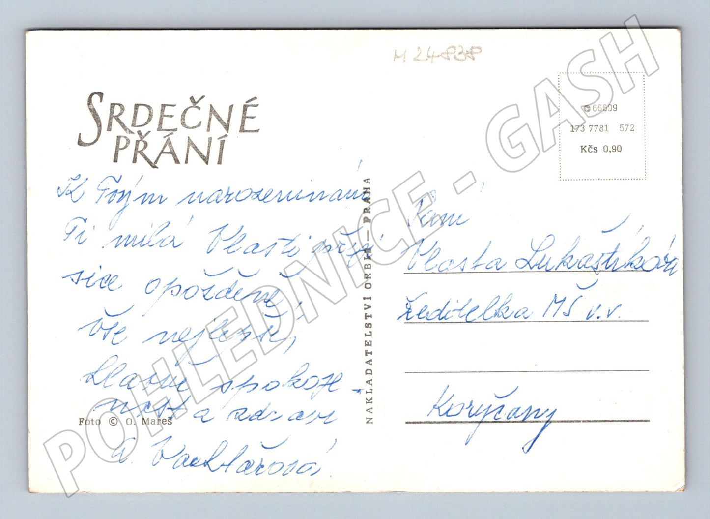Pohlednice květiny černobílé (M24838)