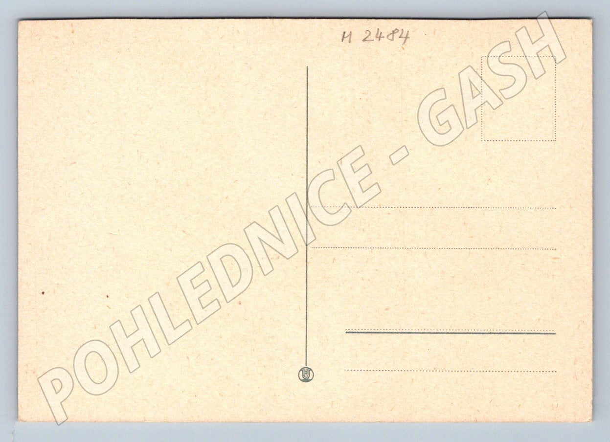 Tulips – Heartfelt vintage greeting card (M2484)