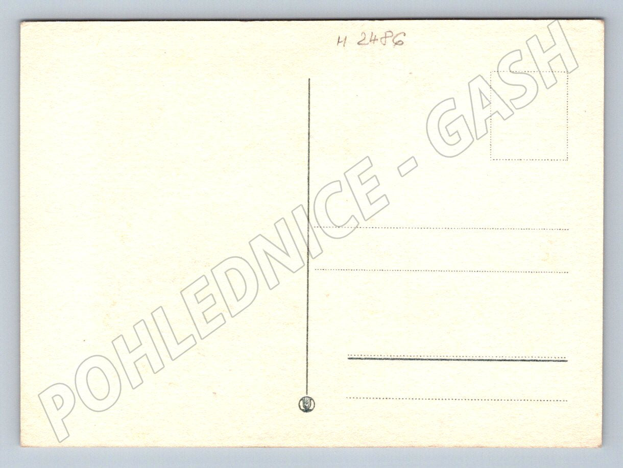 Beautiful postcard flowers ethnography (M2486)